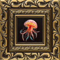 Jellyfish Study I