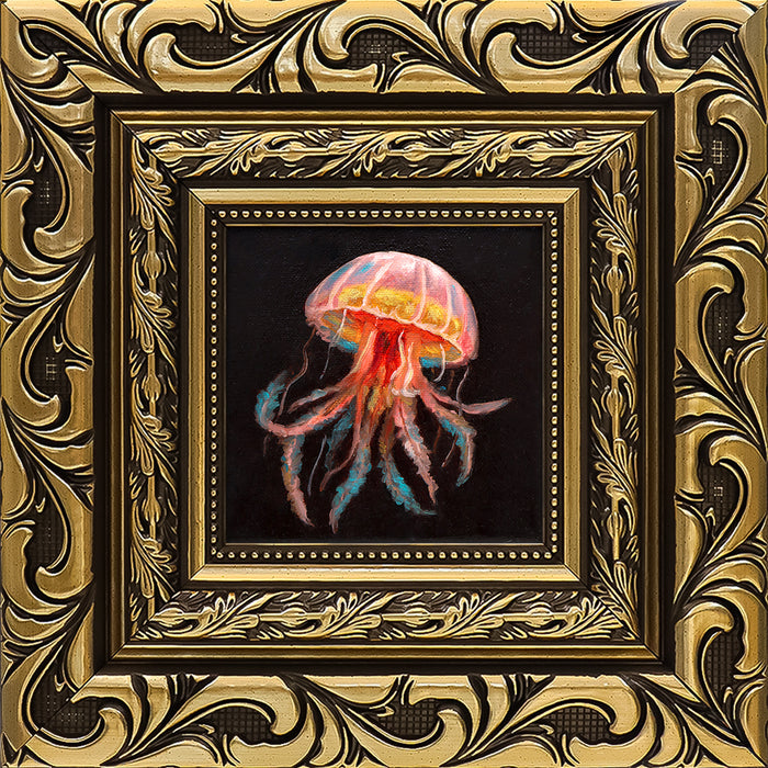 Jellyfish Study I