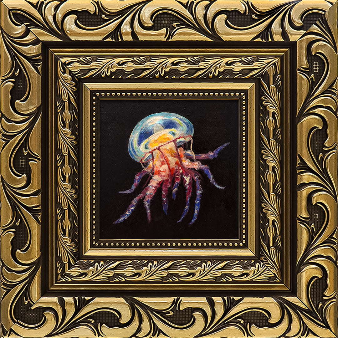 Jellyfish Study IV