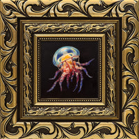 Jellyfish Study IV