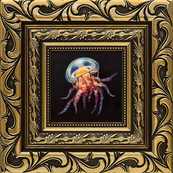 Jellyfish Study IV