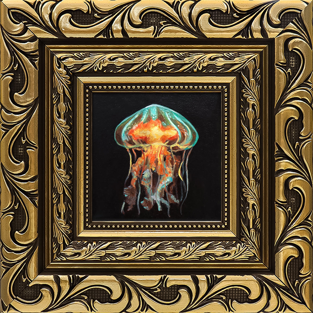 Jellyfish Study II