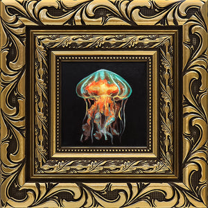 Jellyfish Study II