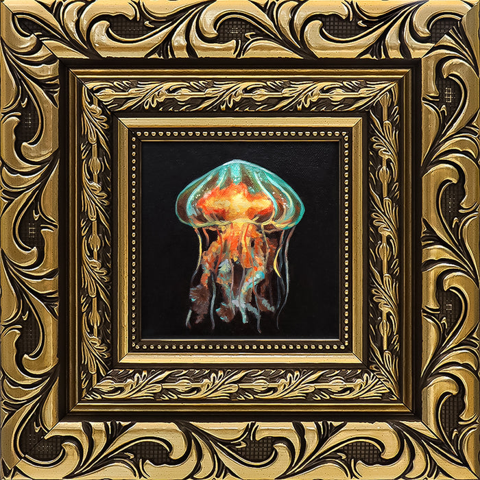 Jellyfish Study II
