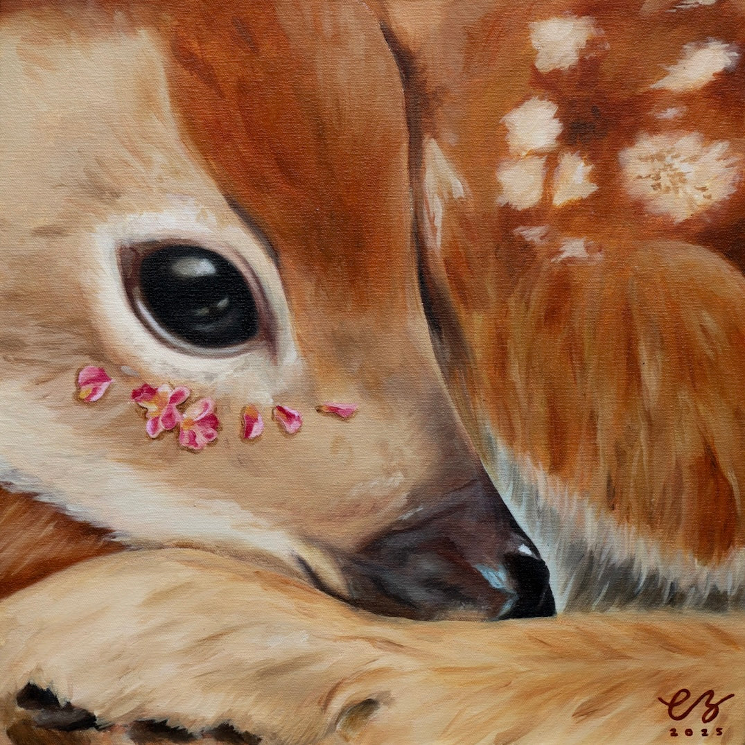 Latest collection artwork